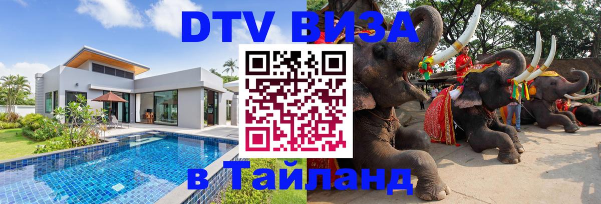 Сколько стоит DTV виза — актуальные цены, оформление даже без документов - Бийск  05.12.2025 